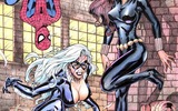 1354371-blackwidow_blackcat_spidey_alrio